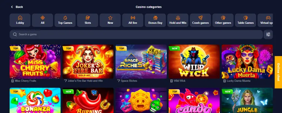 Basswin Casino Interface